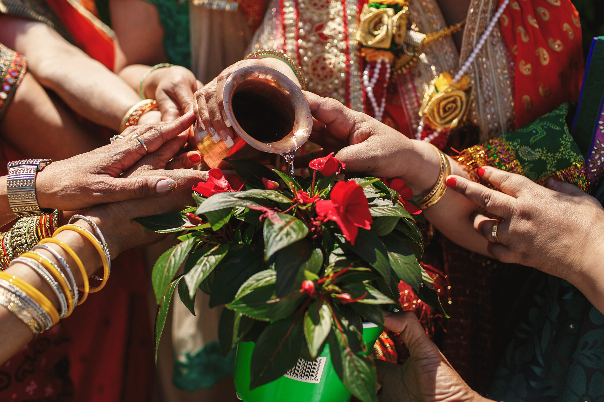 hands of indian women pour holy woter in a red flower
